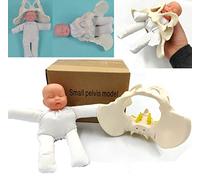 Childbirth Demonstration Pelvis Model-Mini Female Pelvis&Baby Model - Fetus/Umbilical Cord/Placenta-Childbirth Simulator Female Pelvis and Baby Model for Study Display Teaching Medical Model (Small)