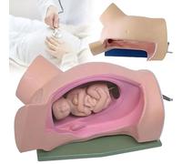 Childbirth Model Training Simulator, Birth Demonstration Includes Models Of Baby Uterus, Medical Anatomical Fetus Model, Female Pelvis Childbirth Midwifery Training Model, Teaching Tools, for Display