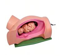 Childbirth Model Training Simulator-Pvc Material Female Birth Model Birth Demonstration Models Includes Baby And Uterus For Study Display Teaching Tools