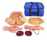 Childbirth Simulation Model with 2 Fetus, Umbilical Cord, and Placenta for Midwifery Training and Comprehensive Skills Practice, Includes Carrying Bag