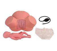 Childbirth Simulation Model with Normal and Abnormal Fetal Positions for Midwifery Training and Medical Education