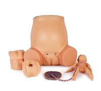 Childbirth Simulation Model with Transparent Abdominal Wall and Flexible Joints, Obstetrics Teaching Aid for Midwifery Training and Skill Enhancement