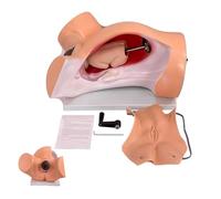 Childbirth Simulation Tools for Obstetrics and Gynecology - Dystocia and Midwifery Delivery Process Teaching Models