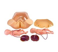 Childbirth Simulator - Advanced Midwifery Training Model for Medical Education, Life-Size Twin Delivery Practice Tool for Gynecology and Maternity Teaching