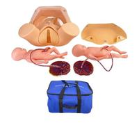 Childbirth Simulator Advanced Midwifery Training Model with Fetal Models, Umbilical Cords, and Placentas for Practicing Delivery Skills