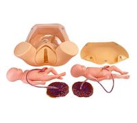 Childbirth Simulator for Twin Birth Training, Includes 2 Fetuses, 2 Placentas, and Carrying Bag, Ideal for Education and Skills Development