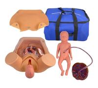 Childbirth Simulator Life Size Pelvic Anatomical Model for Maternity Teaching with Baby, Uterus, Amniotic Sac, Pelvis, Placenta, and Umbilical for Gynecology Education