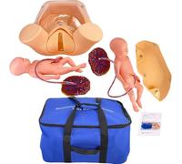 Childbirth Simulator Manikin Childbirth Demonstration, Life Size Pelvic Anatomical Model Delivery Maternity Teaching Mold Includes Models of Baby Uterus Amniotic Sac Pelvis Placenta Umbilical