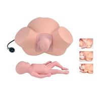 Childbirth Simulator Model for Midwifery Training - Advanced Fetal Demonstration Model for Education and Study