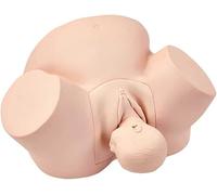 Childbirth Simulator Model with Fetal Model and Adjustable Pelvic Cavity for Midwifery Training, Realistic Appearance, PVC Construction