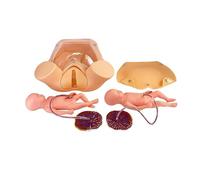Childbirth Simulator Training Model, Life Size Maternity Teaching Aid Includes Baby, Uterus, Amniotic Sac, Pelvis, Placenta for Gynecology Education