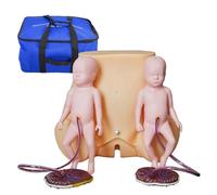 Childbirth Simulator Twin Birth Skills Training Mode, Life Size Pelvis Model with 2 Fetal Model & 2 Umbilical Cord & 2 Placenta for Practicing Midwifery and Delivery Skills