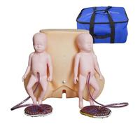 Childbirth Simulator Twin Birth Skills Training Mode Training Model with 2 Fetal Models, 2 Umbilical Cords, 2 Placentas for Midwifery Skills Delivery Practice