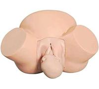 Childbirth Training Simulator, Advanced Obstetrics Gynecology Demo Manikin for Practical Teaching and Operation Training
