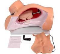 Childbirth Training Simulator with Life Size Female Pelvis Model, Placenta & Delivery Process Demonstration for Medical Education & Teaching