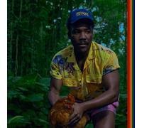 Bando Stone And The New World [VINYL]