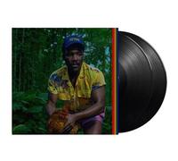 Bando Stone And The New World [VINYL]