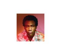 Childish Gambino - Because the Internet | CD Album