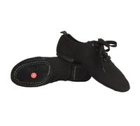Children Ballet Shoes Kids' Canvas Ballet Shoes Women Men Dance Shoes Tango Latin Modern Jazz Dance Yoga Training Footwear(Black Suede Sole,41)