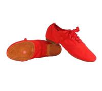 Children Ballet Shoes Kids' Canvas Ballet Shoes Women Men Dance Shoes Tango Latin Modern Jazz Dance Yoga Training Footwear For Hip Hop(Red Suede Sole,37)
