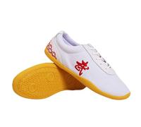 Children Martial Arts Kung Fu Boxing Shoes Canvas Non Slip Lightweight Unisex Adult Kids Tai Chi Taekwondo Training Shoes(Size:40(23.5cm),Color:White)