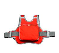 Children Motorcycle Seat Belt, Asudaro Children's Motorcycle Safety Belt with Reflective Strip Adjustable Length for Boys Girls Aged 2-10 Years Under 50 Kg