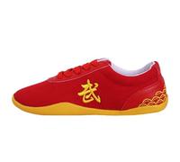 Children Tai Chi Wu Shu Kung Fu Shoes,Martial Arts Shoes for Kids Lightweight Taekwondo Canvas Kung Fu Tai chi Footwear for Daily Exercises Training(Size:42(24.5cm),Color:Red)