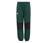 adidas Unisex Kids Terrex Kids Multi 2 Layer Climaproof Rain Pants, Collegiate Green, 9-10 Years