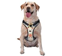Children's Animation Medium Printed pet Traction Vest - Suitable for Dog Walking, Hiking and Outdoor Adventures,