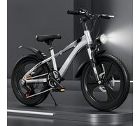 Children's Bicycle for Boys Aged 6-9-15 Years Old, Suitable for Elementary and Middle School Students, with Gears, Suspension, Disc Brakes, and Suitable for Teenagers. Silver,20