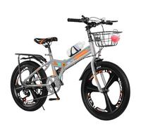 Children's Bicycle Mountain Bike Old Folding Speed Big Kid Bicycle Thickened Anti-Skid and Wear-Resistant Tires Folding and Installation-Free Silver,20