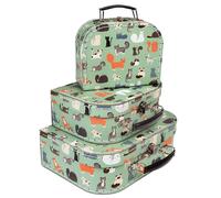 Children's cases Rex London Nine Lives (x3) Vert TU