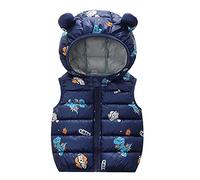 Children's Girls Boys Quilted Vest Fleece Cartoon Print Down Vest Breathable Puffer Vest Winter Vest Lightweight Vest Fleece Vest Sleeveless Jacket with Hood Outdoor Jacket