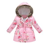 Children's Girls' Softshell Jacket, Cross-Country Jacket, Hiking Jacket, Outdoor Jacket, Warm, Windproof, Breathable, with Cartoon Print, Hoodie, Warm Hooded Outdoor Jacket