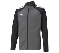 Children's jacket Puma Team Liga Training Gris 10 ans