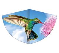 Children's kite with a hummingbird motif, single line kite made of robust PE film with adjustable kite scale, for children aged 4 and up, with wrap handle and cord, approx. 75 x 48 cm in size