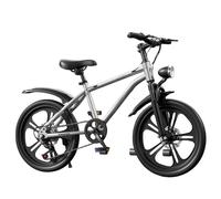 Children's Mountain Bike, Multi-Speed Bicycle for Older Children Aged 6-10-15 Years Old, Suitable for Boys and Girls, Student Bicycle, Pedal Bike. Silver,22