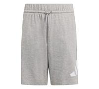 adidas Unisex Kids Essentials Big Logo Shorts, Medium Grey Heather/White, 13-14 Years