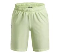 Under Armour Tech Woven Wordmark Shorts Green 18-20 Years Boy