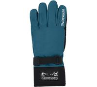 Children's ski gloves Didriksons Lovas Five FI 2 Bleu Taille 5