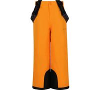 Children's ski Trousers Zigzag Provo W-Pro 10000 Jaune 12 ans
