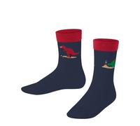 Children's socks Falke Dinosaurs Bleu 39/42