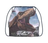 Children's string Bag Cyp Brands Jurassic World Bleu 22x1x22 cm