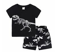 Children's Summer Dinosaur Print Short Sleeved Shorts Two Set Boys' Casual T Shirt Set 15 Month Old Boy Clothes (Black, 1-2Years)