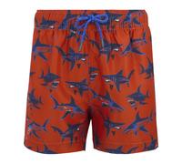 Regatta Skander Swim Shorts in Burnt Orange | Size: 9-10 Years Regatta Burnt Orange 9-10 Years