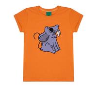 Children's T-shirt Raspberry Republic Mouse Orange 10/11 ans