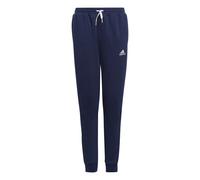 Adidas Entrada 22 Stadium Sw Pants