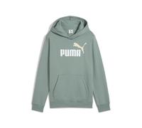 PUMA ESS 2 COLOR No. 1 Logo Hoodie FL B