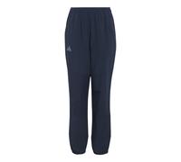Adidas Terrex Multi Pants Blue 14-15 Years Kids