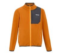 Children's zipped fleece Regatta Frankie 3/4 years
